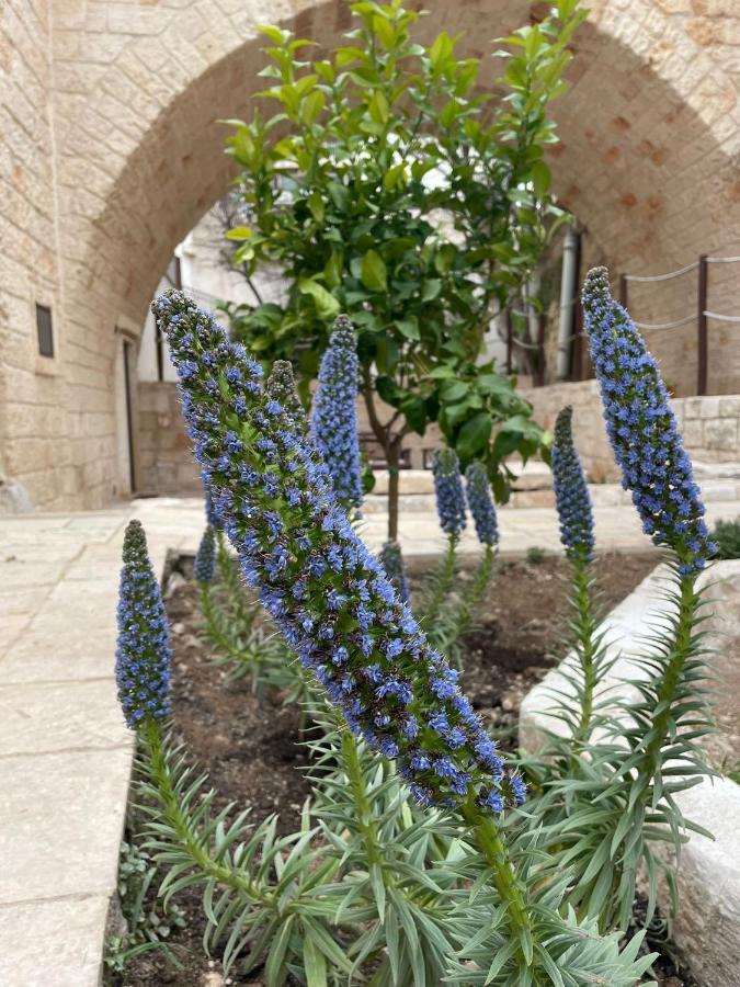 Lamanna Summer House Polignano a Mare Exterior photo